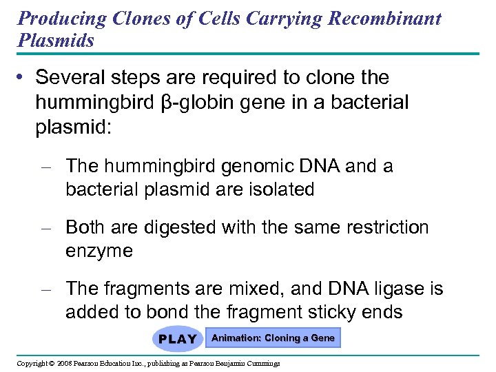 Producing Clones of Cells Carrying Recombinant Plasmids • Several steps are required to clone