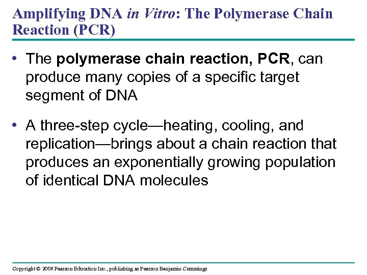 Amplifying DNA in Vitro: The Polymerase Chain Reaction (PCR) • The polymerase chain reaction,