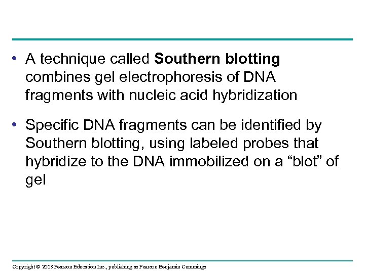  • A technique called Southern blotting combines gel electrophoresis of DNA fragments with
