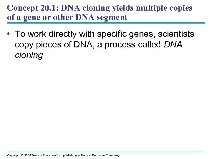 Concept 20. 1: DNA cloning yields multiple copies of a gene or other DNA