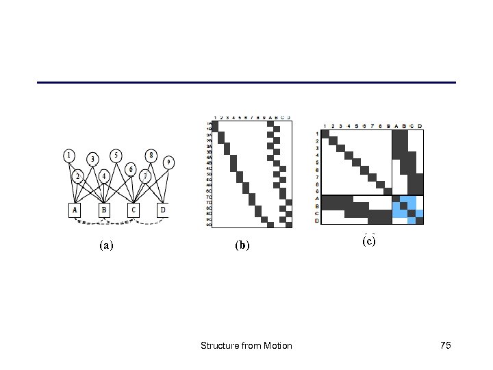 (a) (b) Structure from Motion (c) 75 