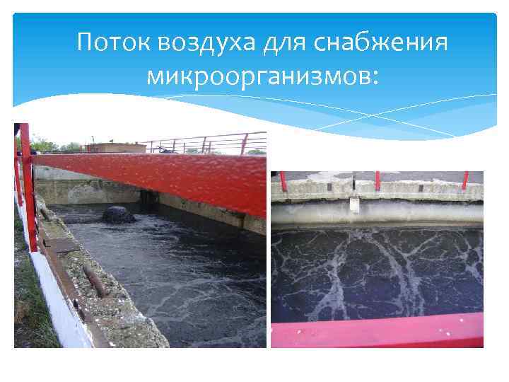 Поток воздуха для снабжения микроорганизмов: 