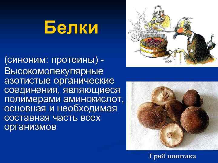 Белки (синоним: протеины) Высокомолекулярные азотистые органические соединения, являющиеся полимерами аминокислот, основная и необходимая составная
