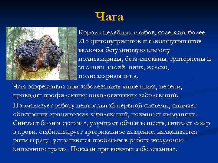 Чага Король целебных грибов, содержит более 215 фитонутриентов и глюконутриентов включая бетулиновую кислоту, полисахариды,