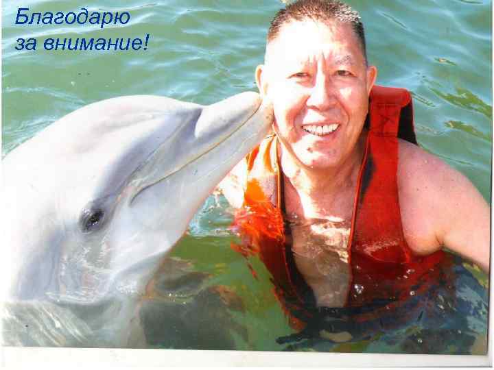 Благодарю за внимание! БЛАГОДАРЮ ЗА ВНИМАНИЕ! 