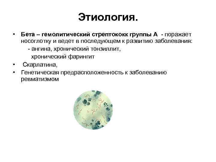 Этиология. • Бета – гемолитический стрептококк группы А поражает носоглотку и ведет в последующем