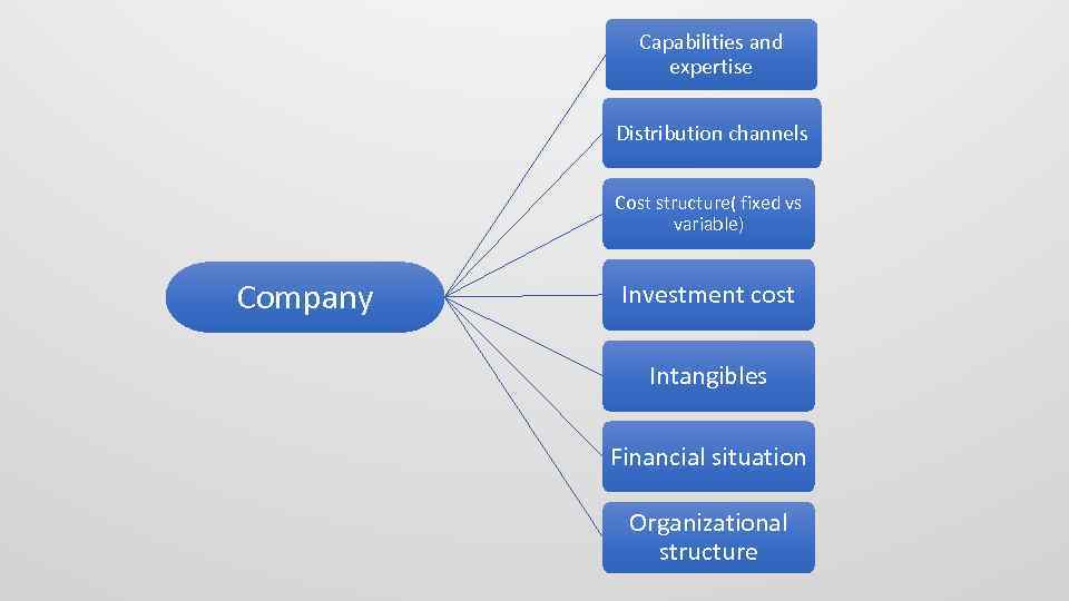 Capabilities and expertise Distribution channels Cost structure( fixed vs variable) Company Investment cost Intangibles