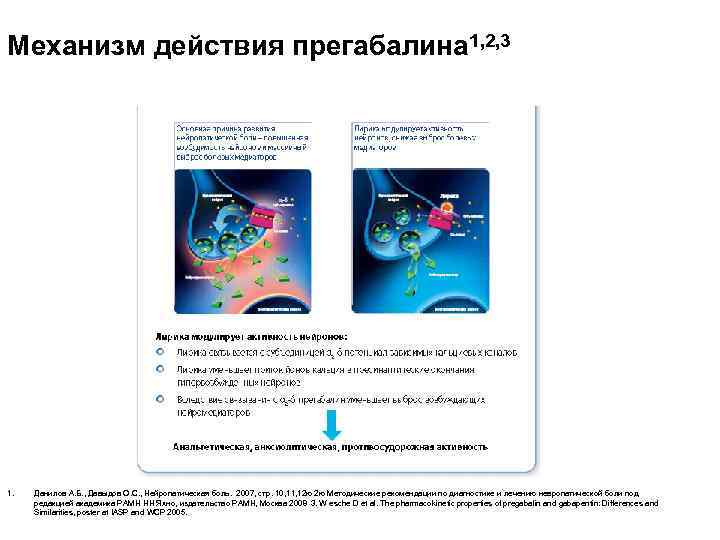 Механизм действия прегабалина 1, 2, 3 1. Данилов А. Б. , Давыдов О. С.