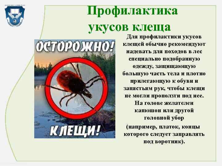  Профилактика укусов клеща Для профилактики укусов клещей обычно рекомендуют надевать для походов в