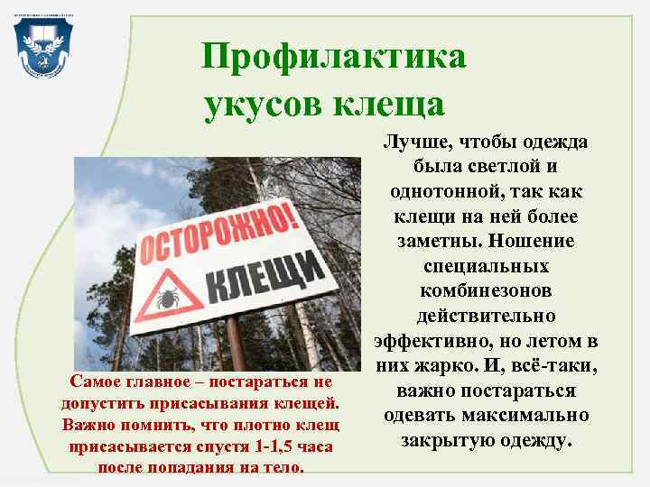  Профилактика укусов клеща Лучше, чтобы одежда Самое главное – постараться не допустить присасывания