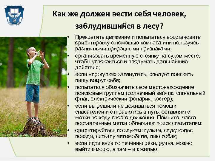 Как же должен вести себя человек, заблудившийся в лесу? • • http: //linda 6035.
