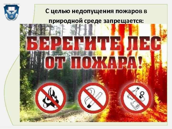 С целью недопущения пожаров в природной среде запрещается: • Бросать в лесу горящие спички,