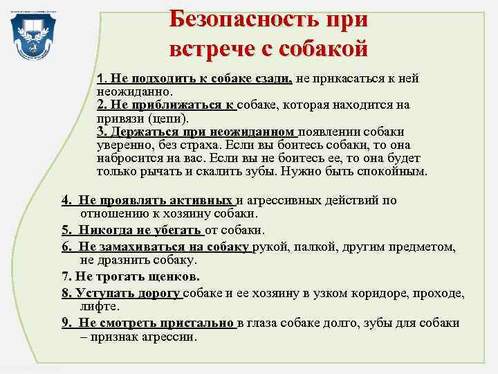 Безопасность при встрече с собакой 1. Не подходить к собаке сзади, не прикасаться к