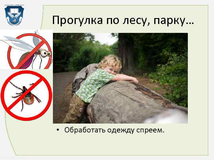 Прогулка по лесу, парку… • Обработать одежду спреем. http: //linda 6035. ucoz. ru/ 
