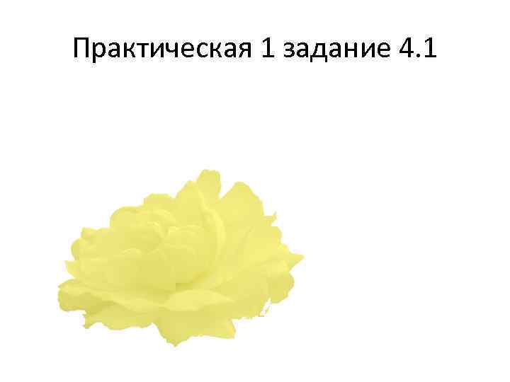 Практическая 1 задание 4. 1 