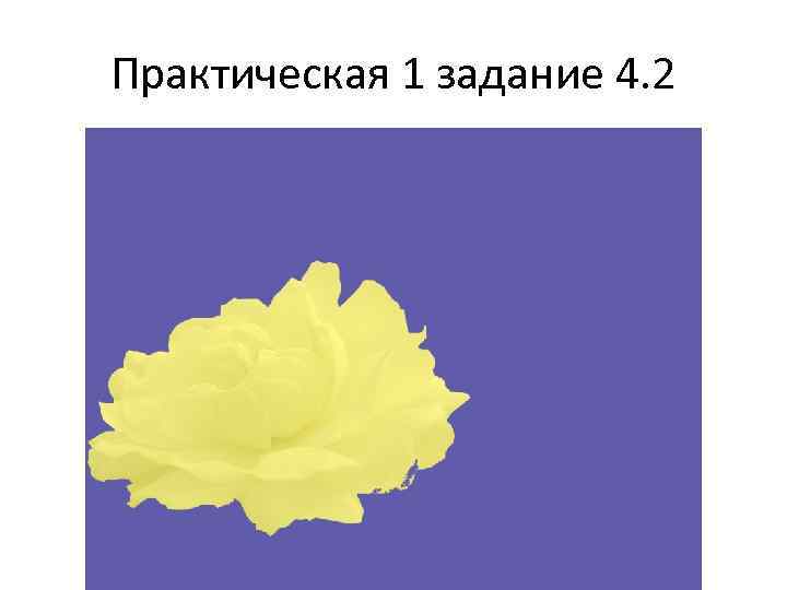 Практическая 1 задание 4. 2 