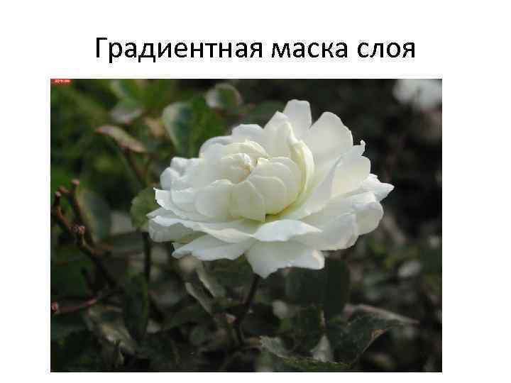 Градиентная маска слоя 