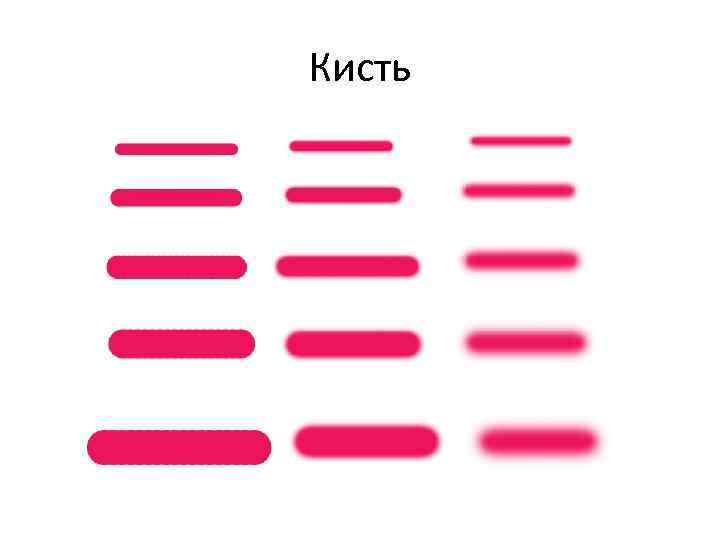 Кисть 