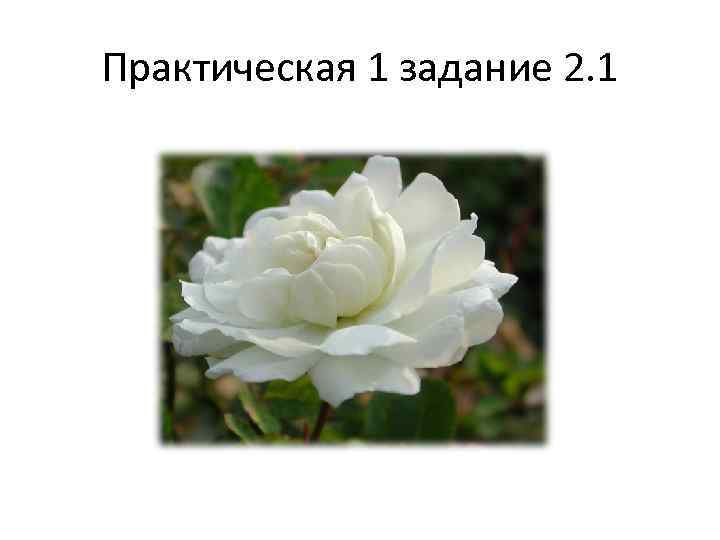 Практическая 1 задание 2. 1 