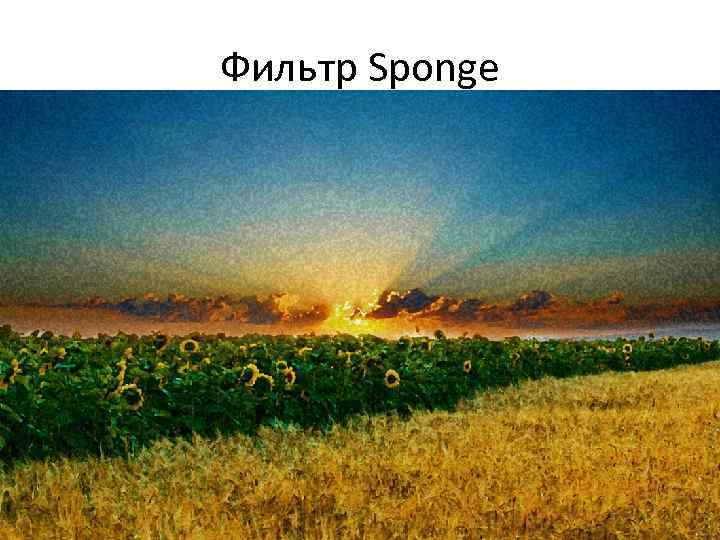 Фильтр Sponge 