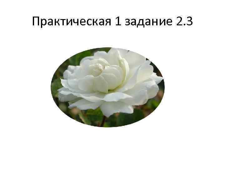 Практическая 1 задание 2. 3 