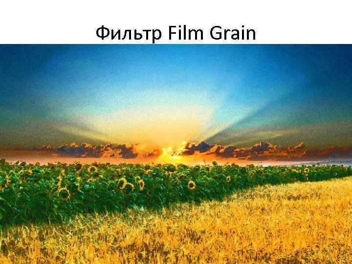 Фильтр Film Grain 