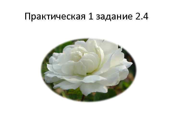 Практическая 1 задание 2. 4 