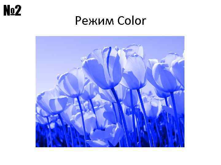 № 2 Режим Color 