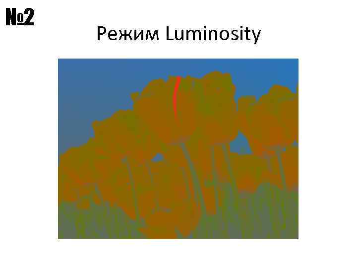 № 2 Режим Luminosity 