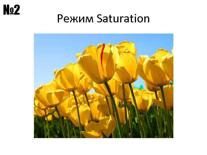 № 2 Режим Saturation 