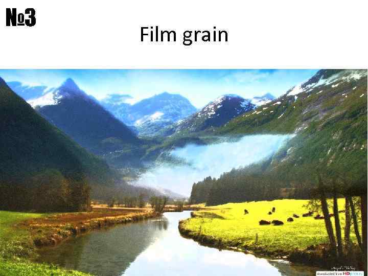 № 3 Film grain 