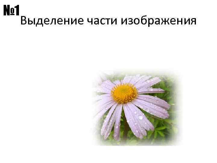 № 1 Выделение части изображения 