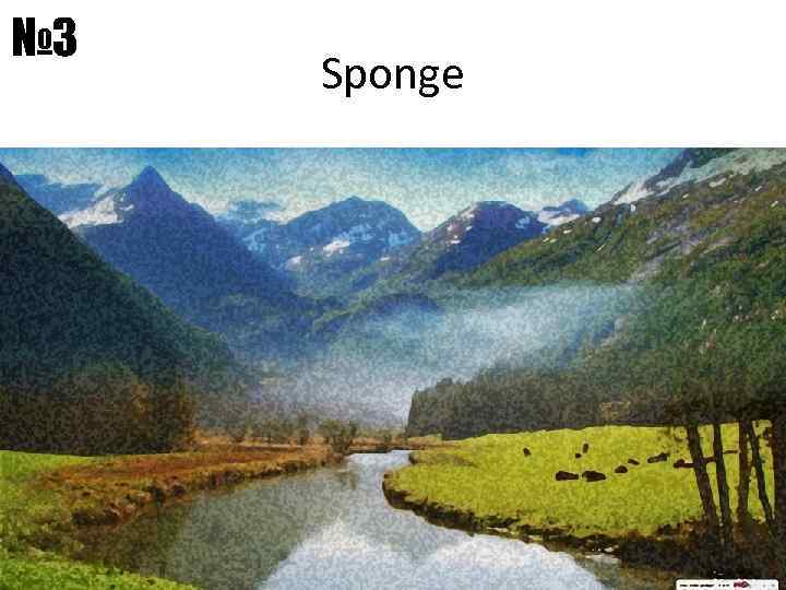 № 3 Sponge 