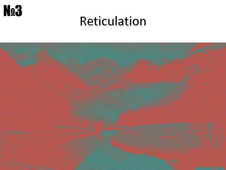 № 3 Reticulation 