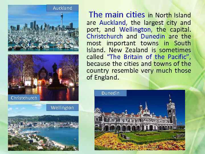 Auckland The main cities in North Island are Auckland, the largest city and port,