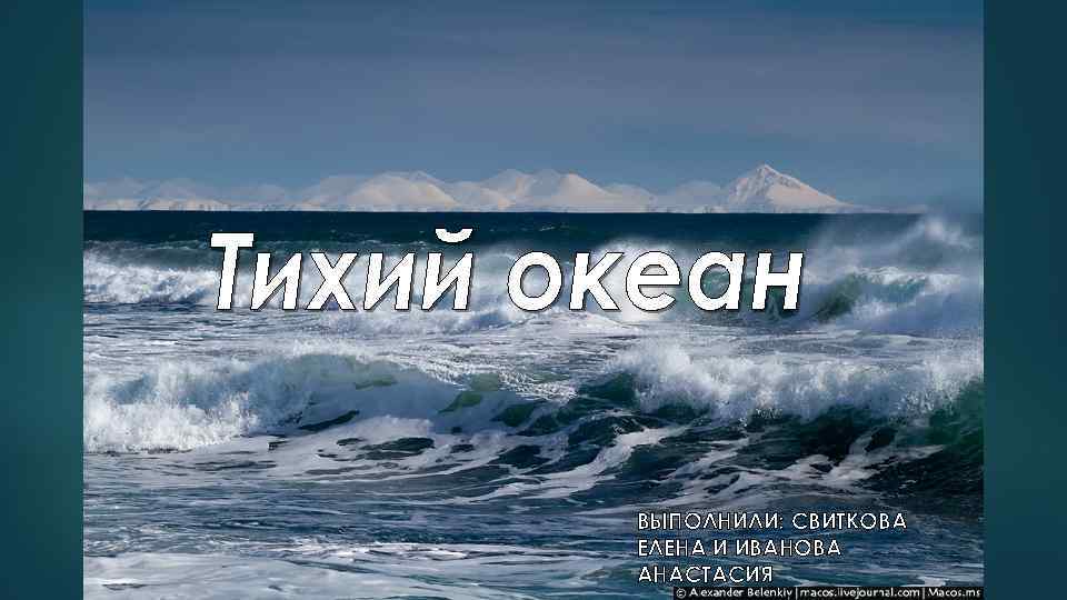 ВЫПОЛНИЛИ: СВИТКОВА ЕЛЕНА И ИВАНОВА АНАСТАСИЯ 