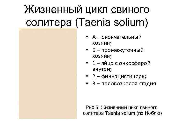 Жизненный цикл свиного солитера (Taenia solium) • А – окончательный хозяин; • Б –