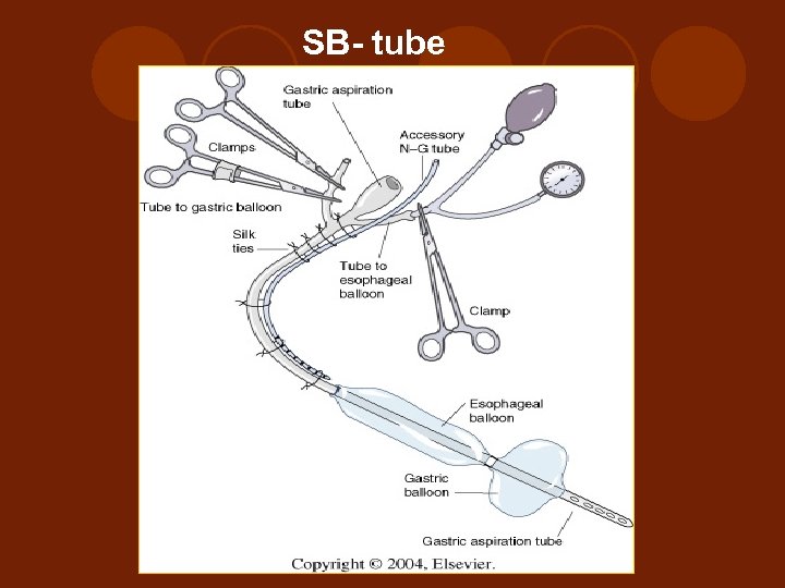  SB- tube 
