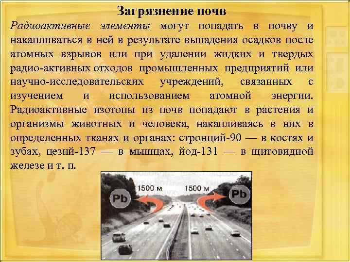 Загрязнение почв Радиоактивные элементы могут попадать в почву и накапливаться в ней в результате