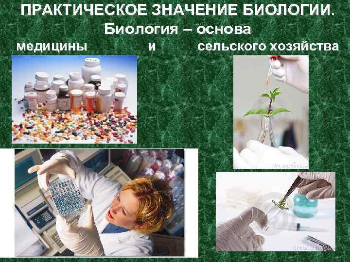 ПРАКТИЧЕСКОЕ ЗНАЧЕНИЕ БИОЛОГИИ. Биология – основа медицины и сельского хозяйства 