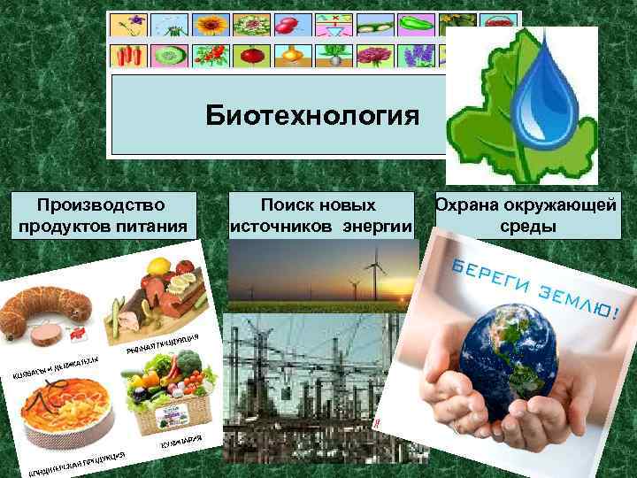 Биотехнология Производство продуктов питания Поиск новых источников энергии Охрана окружающей среды 