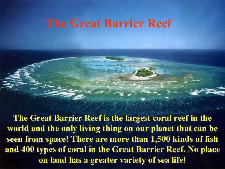 The Great Barrier Reef is the largest coral reef in the world and the