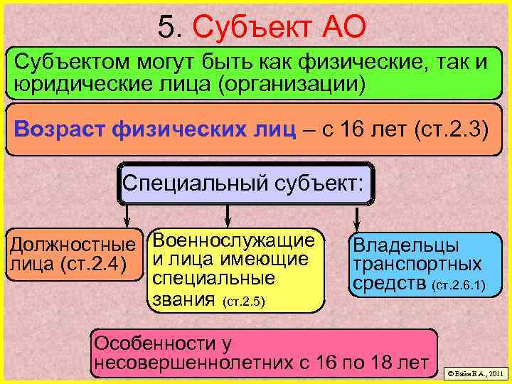 5. Субъект АО Субъектом могут быть как физические, так и юридические лица (организации) Возраст