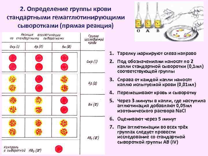 2. Определение группы крови стандартными гемагглютинирующими сыворотками (прямая реакция) 1. Тарелку маркируют слева направо