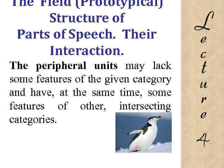 The Field (Prototypical) Structure of Parts of Speech. Their Interaction. The peripheral units may