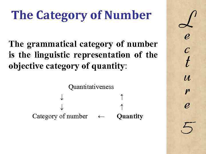 The Category of Number The grammatical category of number is the linguistic representation of
