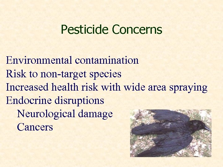 Pesticide Concerns Environmental contamination Risk to non-target species Increased health risk with wide area