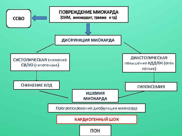 ПОВРЕЖДЕНИЕ МИОКАРДА ССВO (ОИМ, миокардит, травма и тд) ДИСФУНКЦИЯ МИОКАРДА ДИАСТОЛИЧЕСКАЯ повышение КДДЛЖ (отек