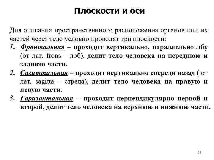 Плоскости и оси Для описания пространственного расположения органов или их частей через тело условно