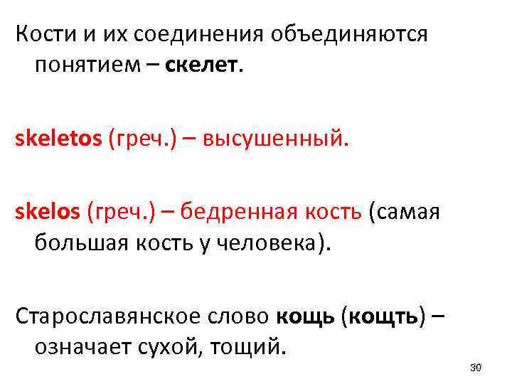 Кости и их соединения объединяются понятием – скелет. skeletos (греч. ) – высушенный. skelos